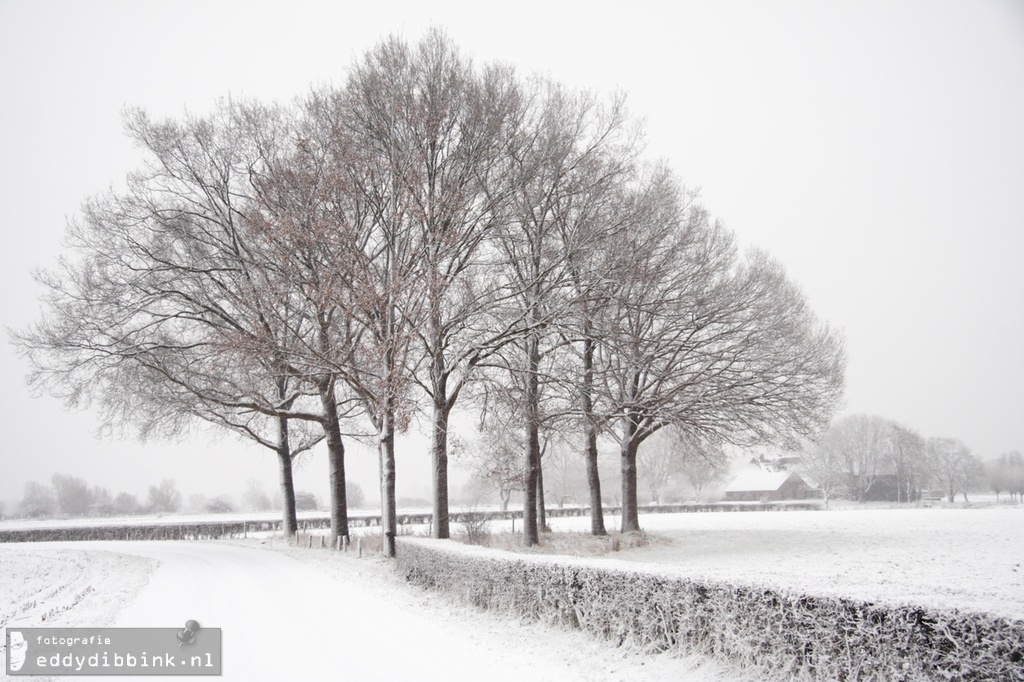 2010-12-17 Sneeuw, Deventer 014